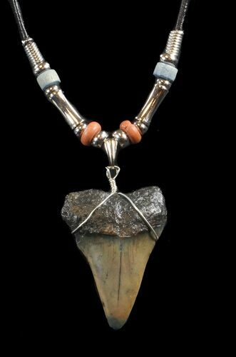 Fossil Mako Shark Tooth Necklace #43060